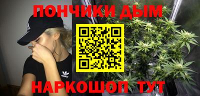 сатива Шахты