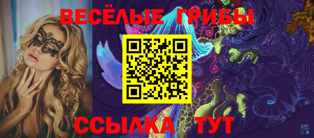 Галлюциногенные грибы Magic Shrooms  Вход с VPN  Гатчина  Галлюциногенные грибы Psilocybine cubensis 